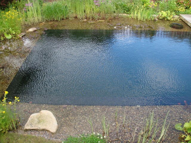 swimmable pond